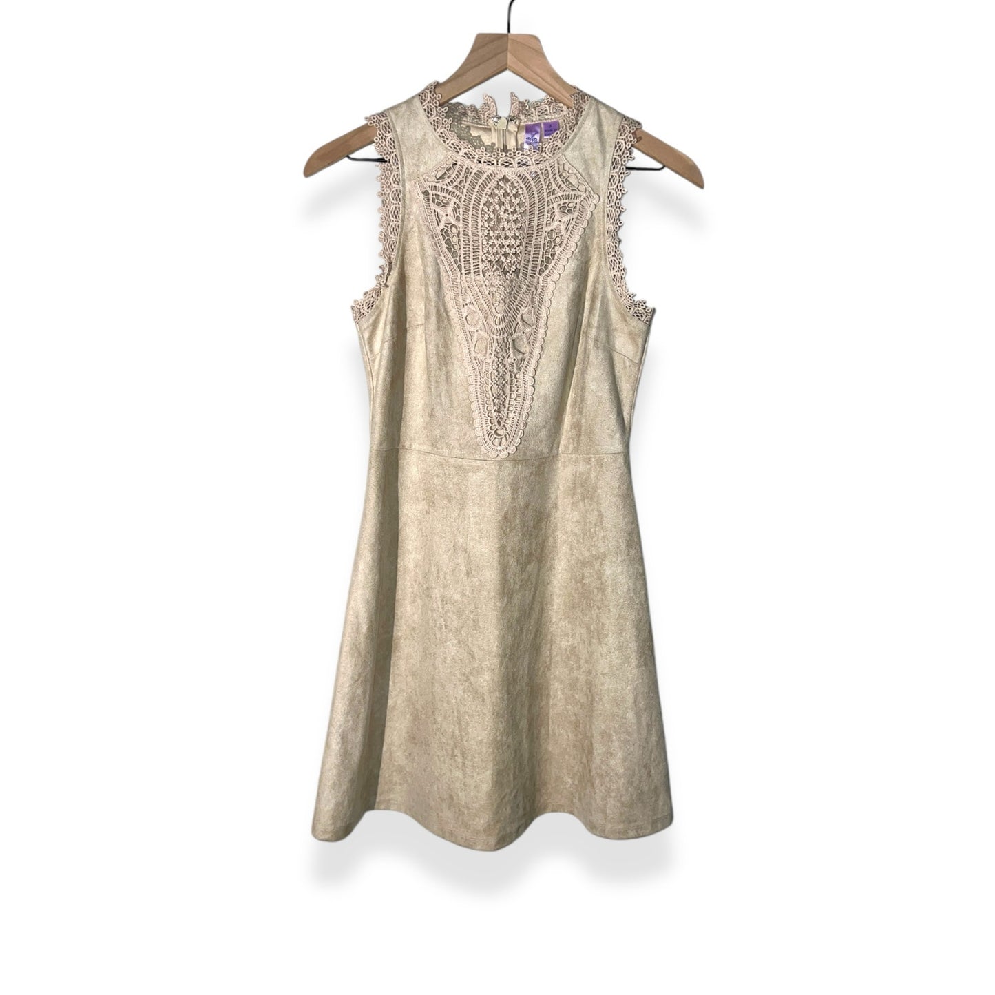 Francesca's Alya Beige Suede Lace Dress