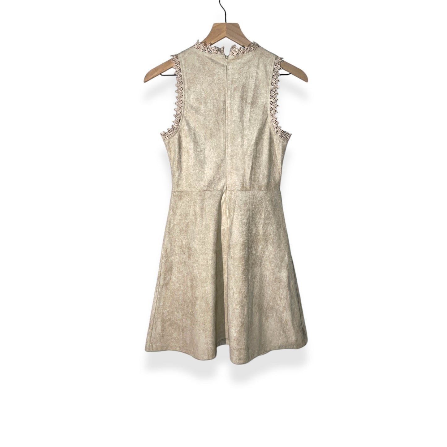 Francesca's Alya Beige Suede Lace Dress