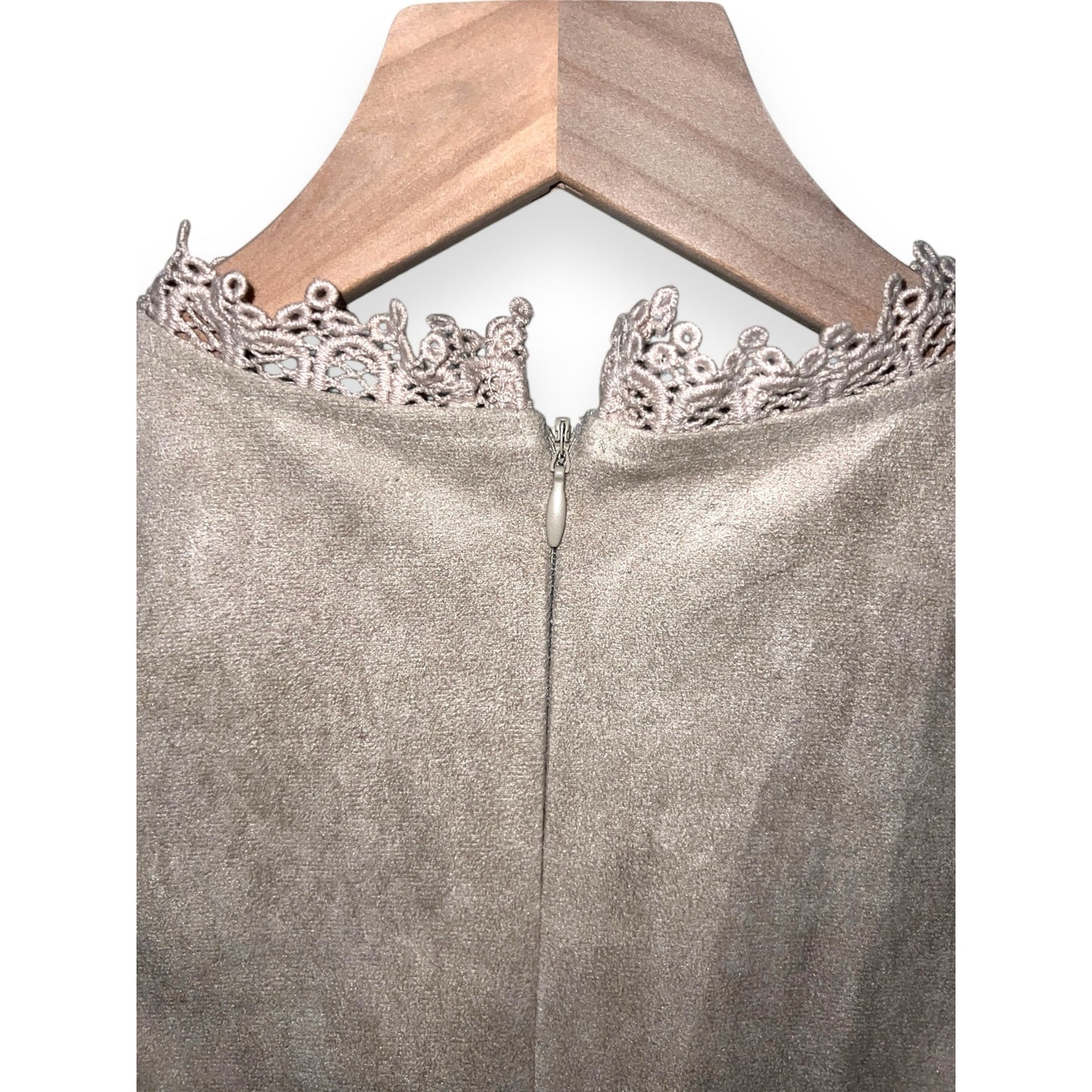 Francesca's Alya Beige Suede Lace Dress