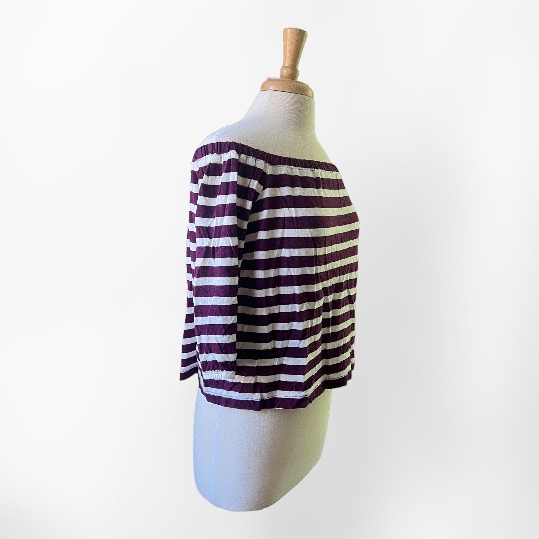 J. Crew Factory Maroon and White Striped Cotton Top